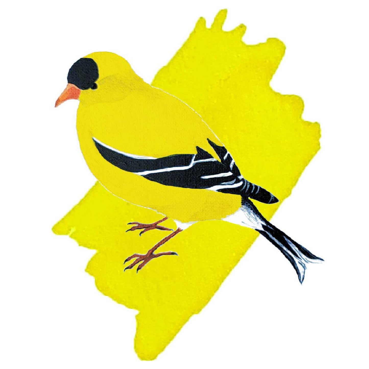 American Goldfinch Yellow