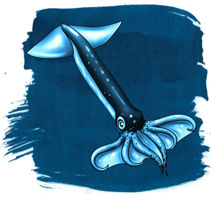 Anderillium - Flying Squid Blue