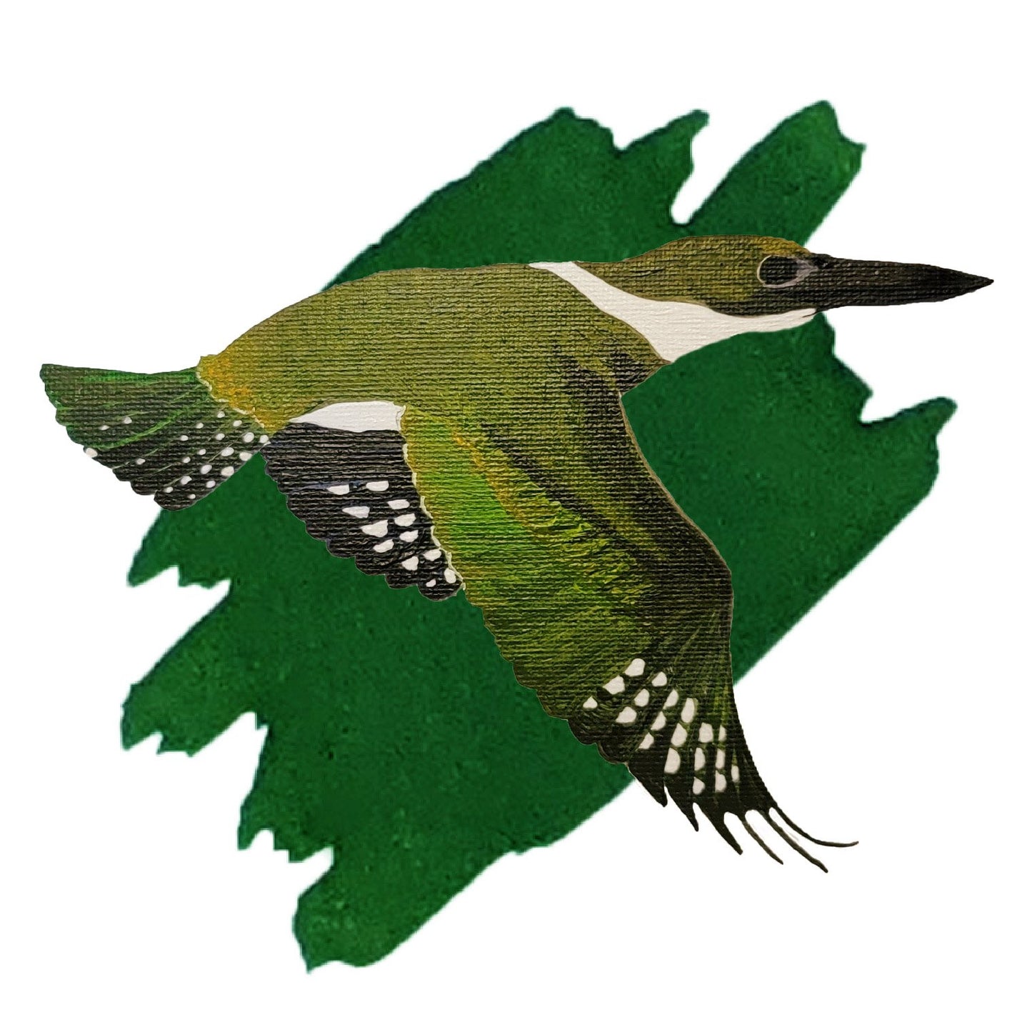 Green Kingfisher Green