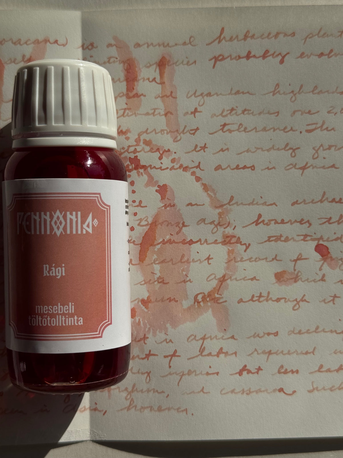 Pennonia - Rági