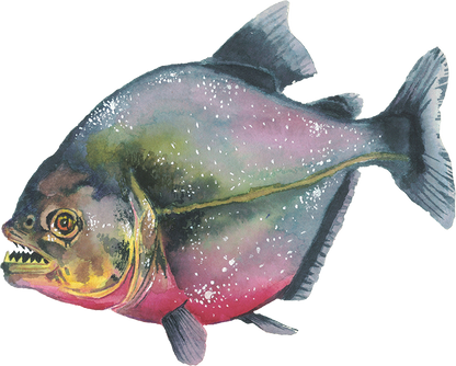 Anderillium - Piranha Red